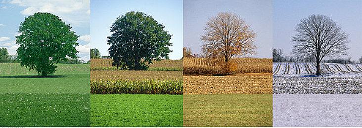 科幻游戏《Synduality》新图 与AI伙伴和机甲同行